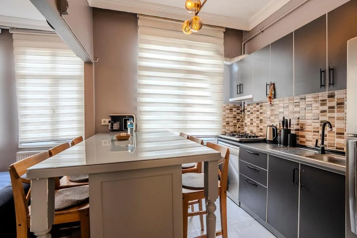 イスタンブールGalata View 2Br W Terraceアパートメント トルコ