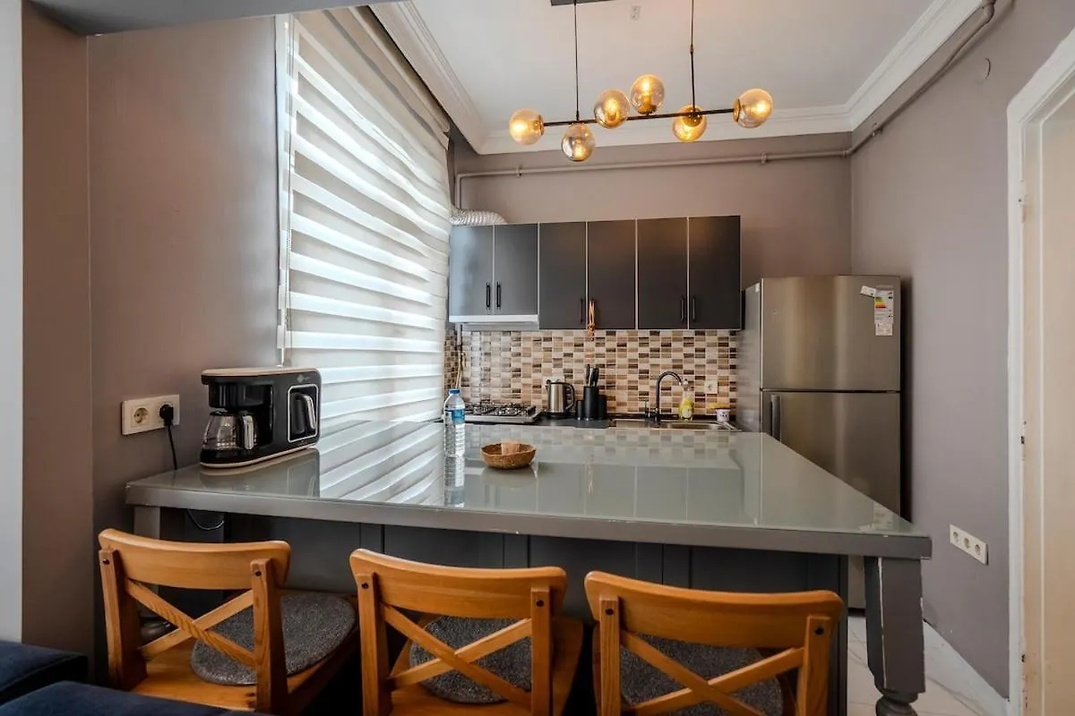 イスタンブールGalata View 2Br W Terraceアパートメント トルコ